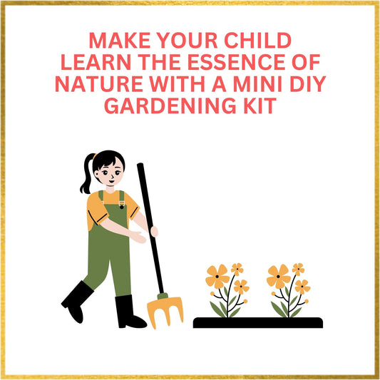 Make Your Child Learn the Essence of Nature with A Mini DIY Gardening Kit