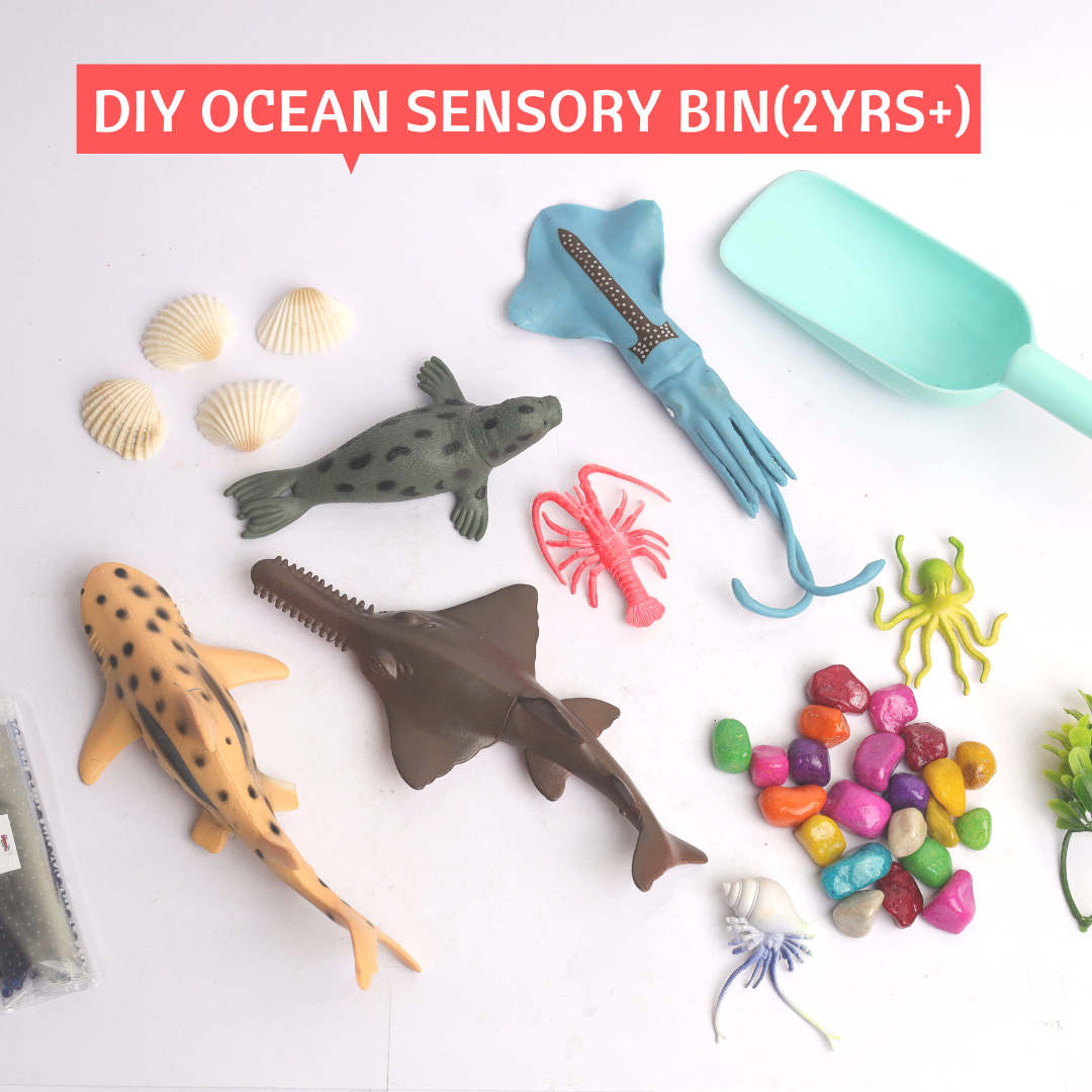  Ocean World Sensory Bin