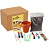Mini-Gardening Kit