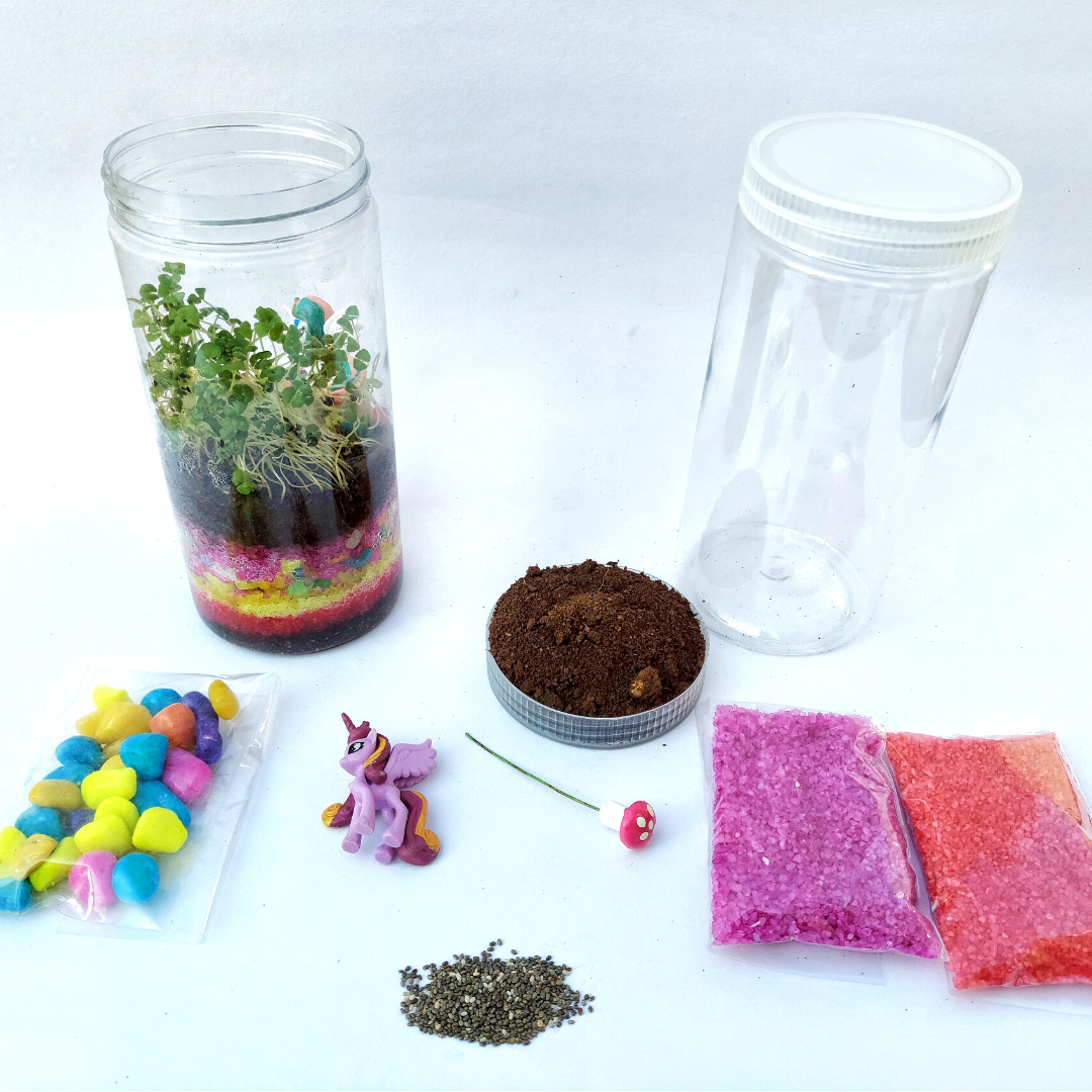 Terrarium Gardening KIT