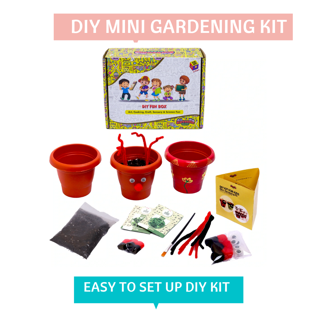 Mini Gardening KIT(