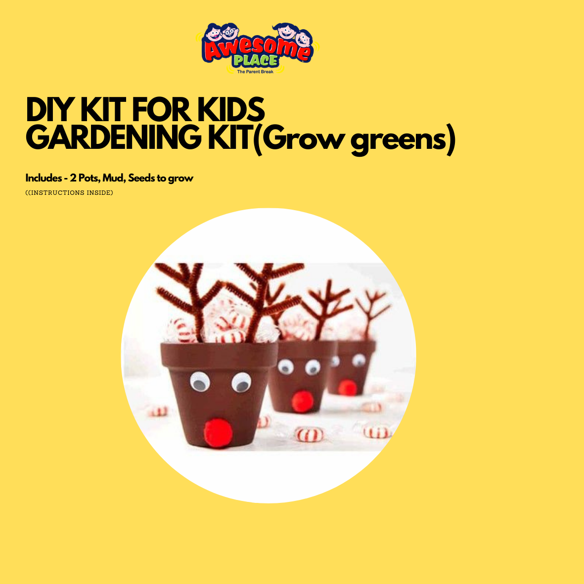 Mini Gardening KIT(