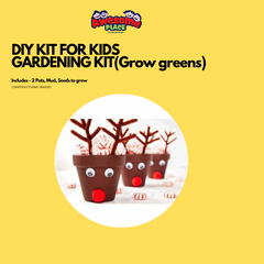Mini Gardening KIT(