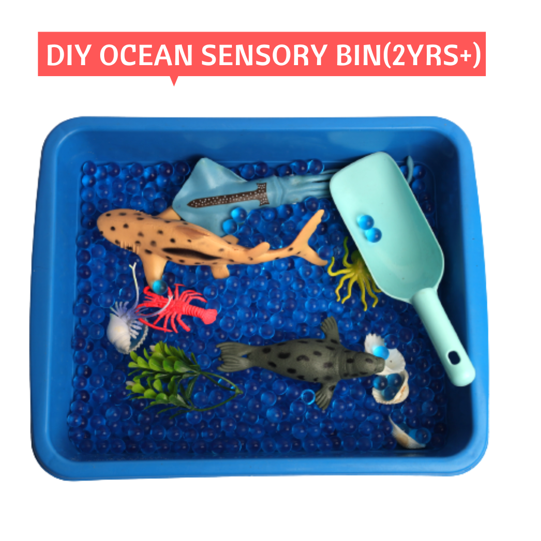  Ocean World Sensory Bin