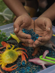 Ocean & Beach World Sensory Bin