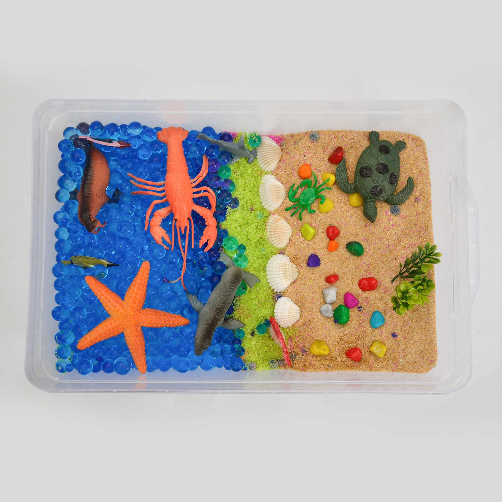 Ocean & Beach World Sensory Bin