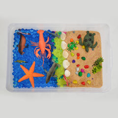 Ocean & Beach World Sensory Bin