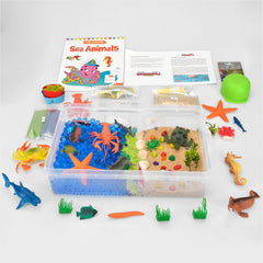 Ocean & Beach World Sensory Bin