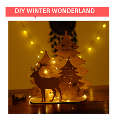 Winter Wonderland